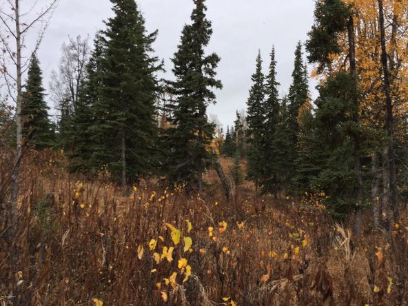63885 Tailwind Rd, Ninilchik, AK 99639